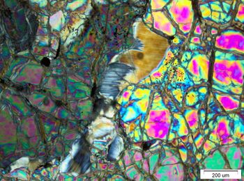 19-ББ. Шлиф плаг лерц.jpg