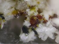 2022-03-14 064855.jpg