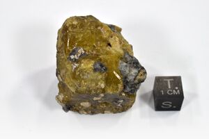 FMM 1 83833 new1.JPG