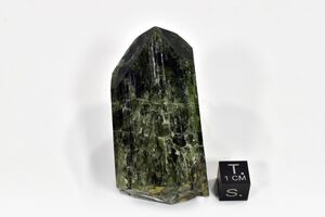 FMM 1 80990 new1.JPG