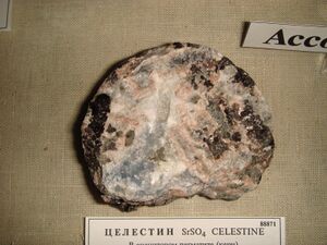 FMM 1 88871 celestine db.JPG