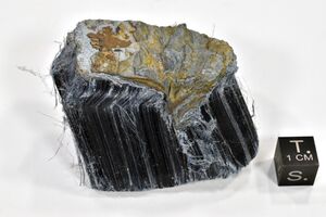 FMM 1 18872 new1.JPG