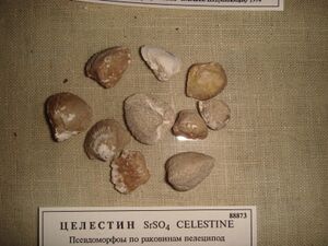 FMM 1 88873 celestine db.JPG