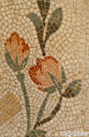 1794714103 48484cb91b o.jpg