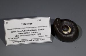 FMM 3 2735 mm.JPG