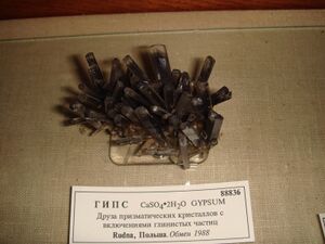 FMM 1 88836 gypsum db.JPG