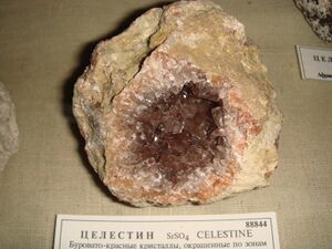 FMM 1 88844 celestine db.JPG