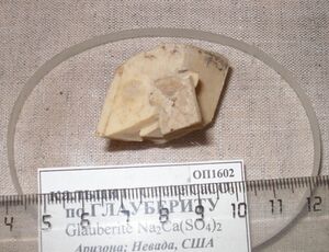 FMM 3 1602 EM.JPG
