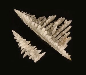 FMM 1 88538 salammoniac ML.JPG