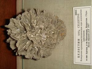 FMM 1 88842 celestine db.JPG