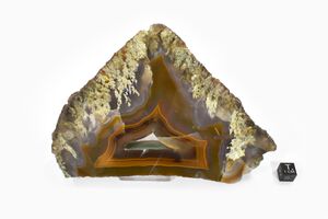 FMM 1 86628 2 sm.jpg