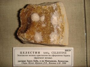 FMM 1 88839 celestine db.JPG