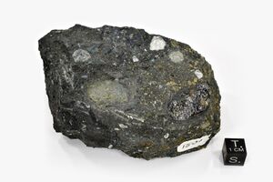 FMM 1 64164 new1.JPG