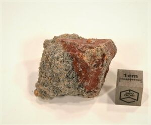 FMM 3 2640.JPG