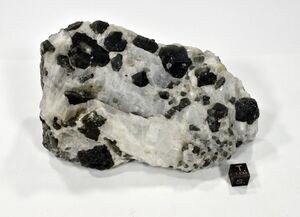 FMM 1 26050 new1.JPG