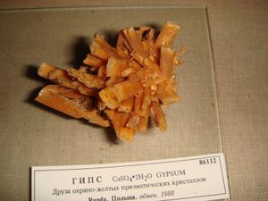 FMM 1 86112 gypsum db.JPG