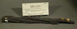 FMM 3 2962 goethite mmm.JPG